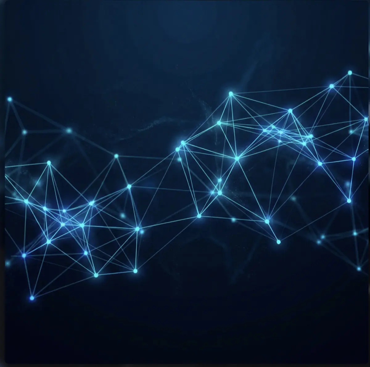 Network connectivity visualization